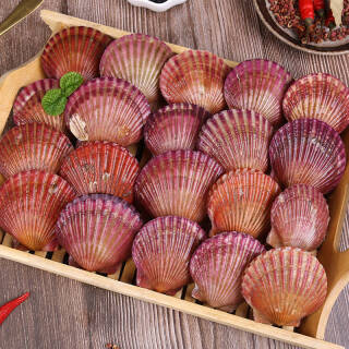 精选新鲜带壳大扇贝蒜蓉粉丝扇贝500g976元包邮需买5件共488元需用券