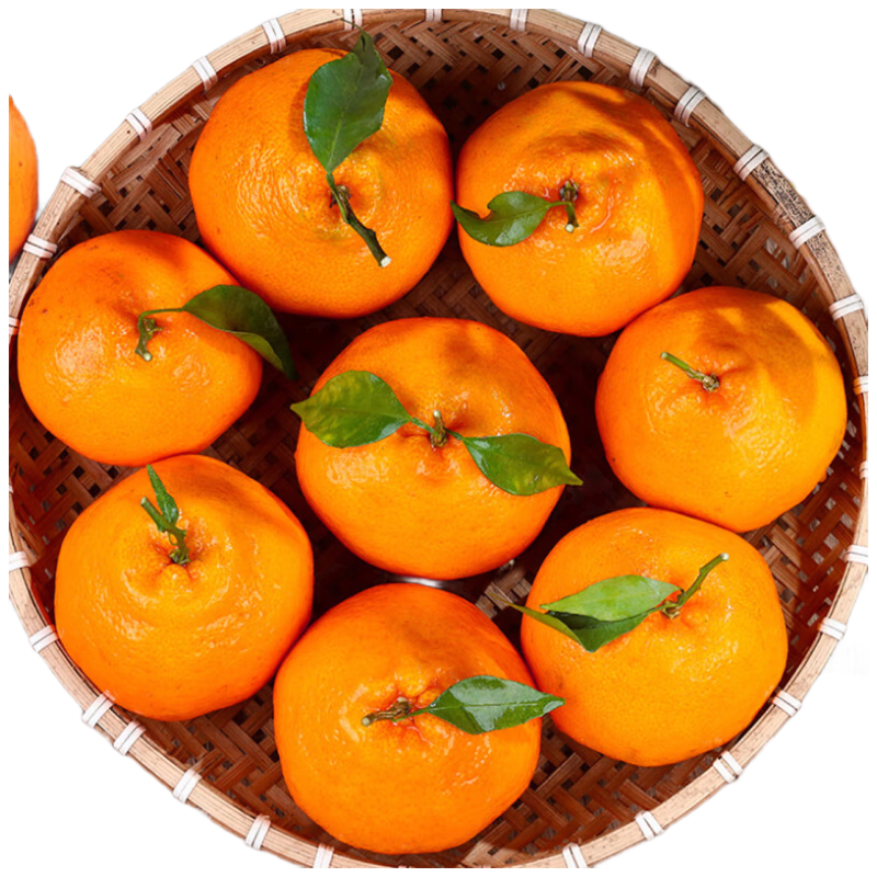 移动端、京东百亿补贴：京鲜生 四川春见耙耙柑 净重4.5-5斤礼盒 果径65mm+ 