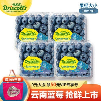 怡颗莓 当季云南蓝莓 Jumbo超大果国产蓝莓 125g*4盒 ￥109.8