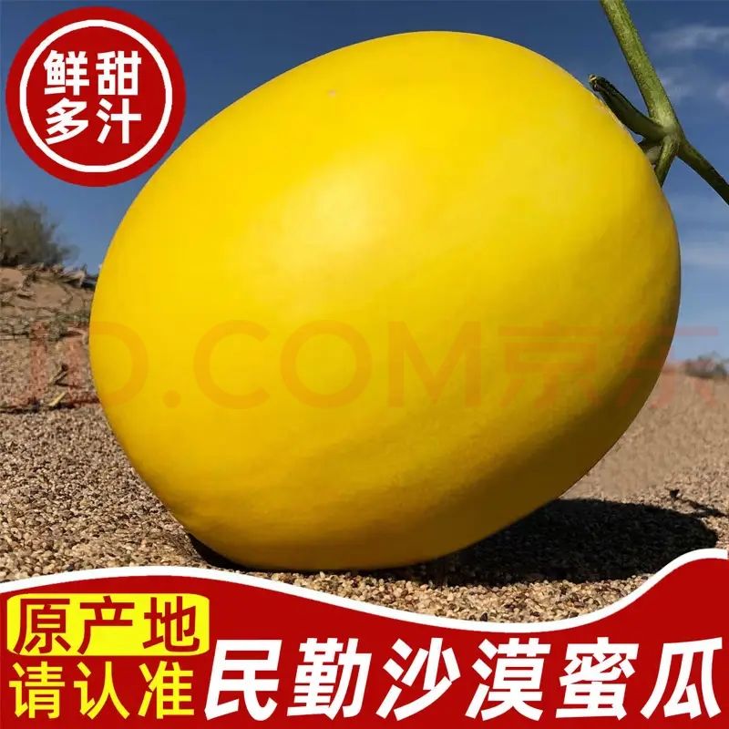 粤迎甘肃民勤蜜瓜 闪送-源头直发沙漠甜瓜黄金蜜瓜现摘 新鲜水果箱 5斤精