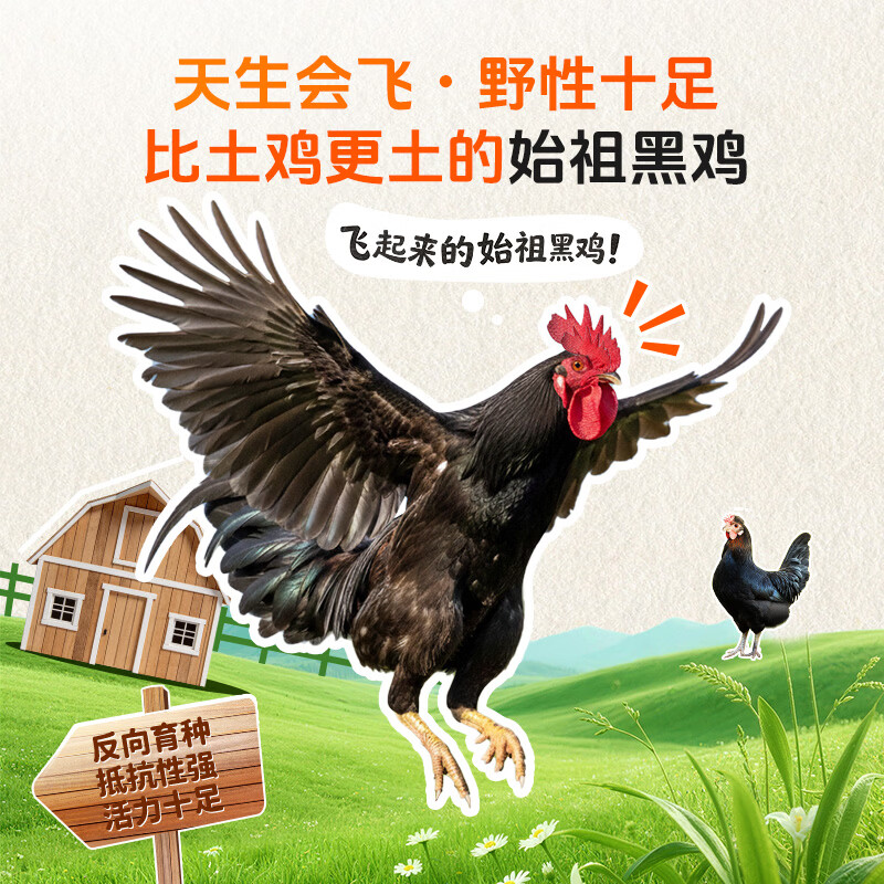 好念头 可生食无抗生素无腥味 叶黄素鸡蛋 鸡蛋 1元 - 86线报