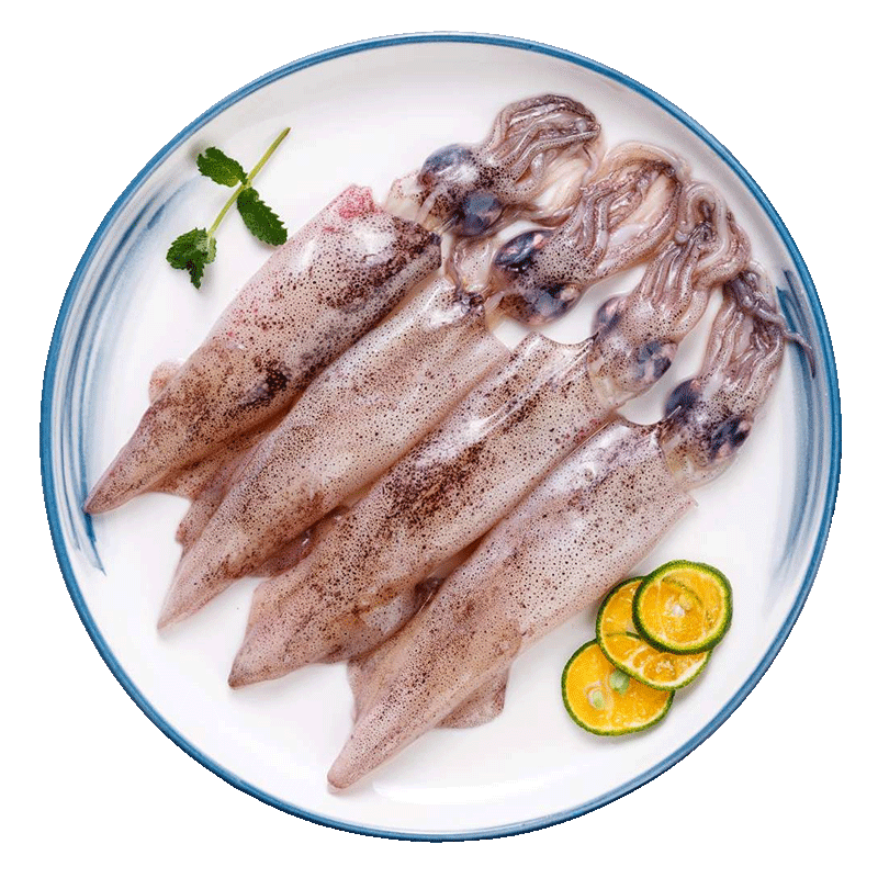 美加佳美加佳 笔管鱿鱼500g 海兔子 墨斗鱼 海鲜水产 烧烤食材 95.6元（合23.9