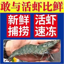 XYXT 虾有虾途 渤海大虾 17-19厘米 4斤 65.3元