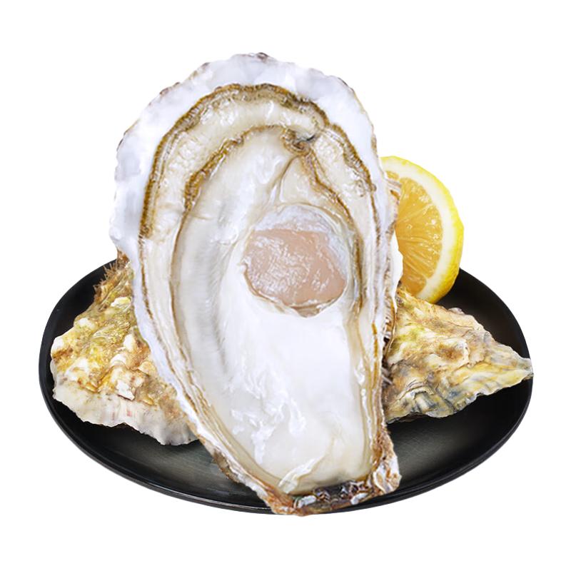 鲜海道 生蚝 鲜活乳山牡蛎贝类 源头直发 3XL-净重5斤 3XL-净重5斤 40.89元