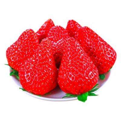 PLUS会员：沙窝曙光 丹东草莓99红颜奶油大草莓 2斤大果装单果20-30g 85.23元包