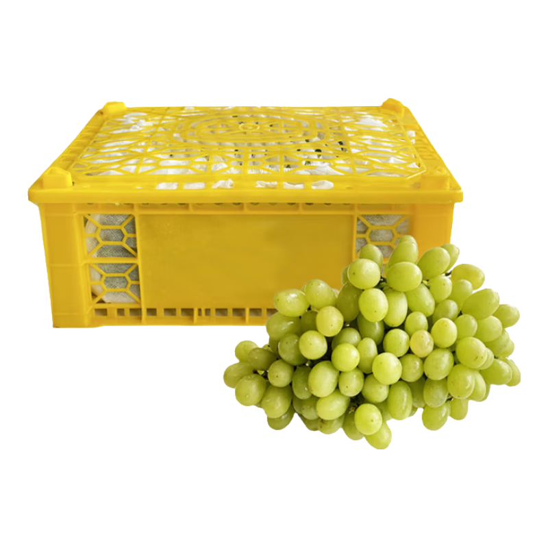 京觅 无籽露葡萄 2kg 14.9元（需用券）