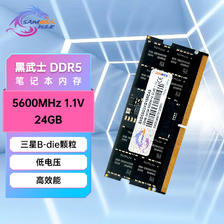 SK hynix 海力士 新乐士（SAMNIX）24GB DDR5 笔记本内存条 5600MHz C45/46 优选颗粒 377