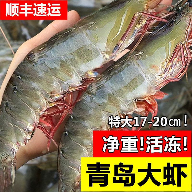 嵩海生鲜 大虾鲜活冷冻超大海鲜水产基围虾鲜虾海虾青虾冻对虾特大生鲜虾