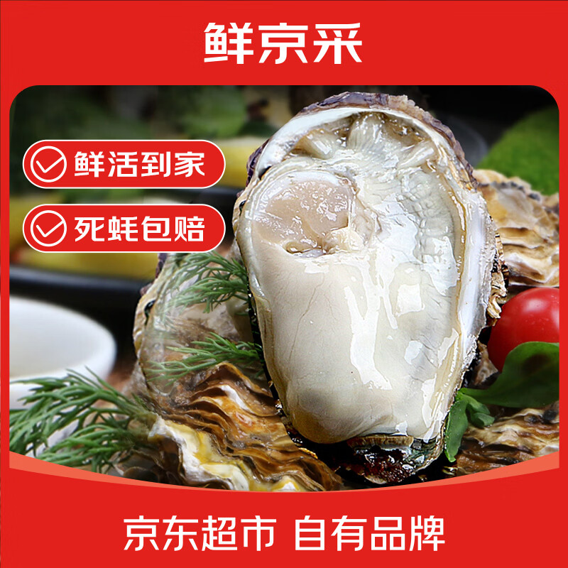 鲜京采鲜活生蚝3XL 净重5斤 13-18只 32.9元