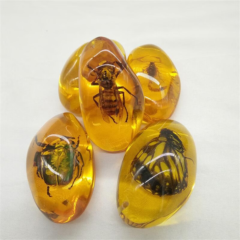 米芒 透明树脂真实昆虫标本 9.9元 - 86线报