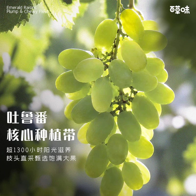 百草味 无核绿葡萄干500g 7.9元 - 线报酷
