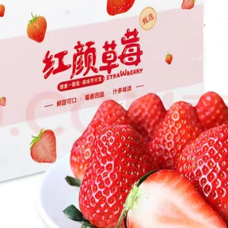 风之郁 红颜99奶油草莓 5斤彩盒装 68元（需用券）