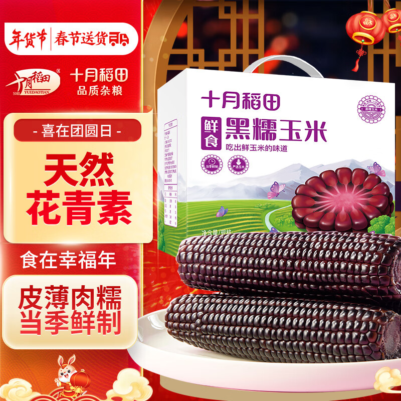 SHI YUE DAO TIAN 十月稻田 鲜食黑糯玉米200g*8穗 东北低脂紫玉米 黑色粘玉米 杂