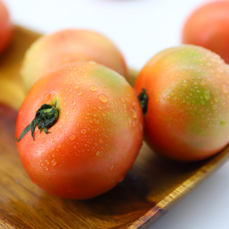 GREER 绿行者 桃太郎番茄普罗旺斯西红柿2.5kg新鲜采摘 29.4元