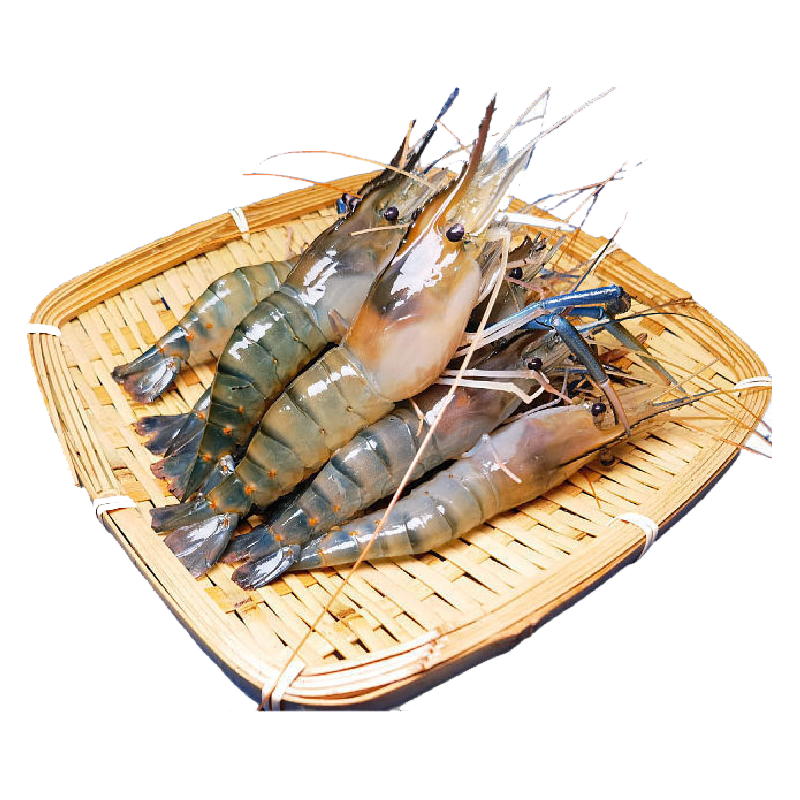 百鲜洽 罗氏虾沼虾活冻新鲜大头鲜超大虾巨型基围虾海鲜水产虾类 1000g 24-29