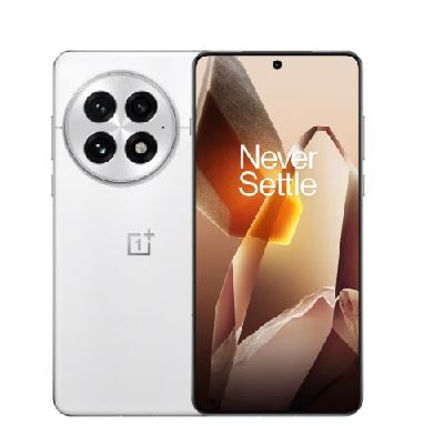 京东百亿补贴、PLUS：OnePlus 一加 13 5G手机 12GB+256GB 3979.01元