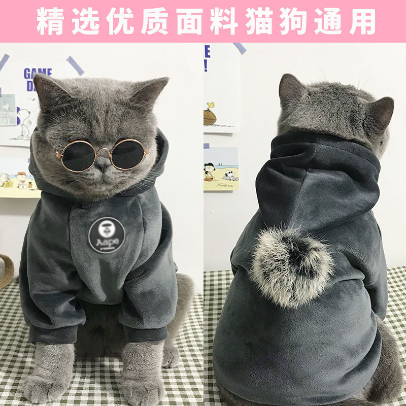 Lanswood 猫咪衣服防掉毛猫衣服冬保暖布偶猫无毛猫衣服搞笑狗狗宠物衣服 主