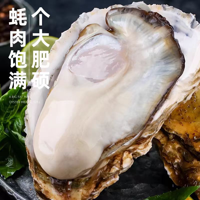 顺丰冷链 特大！乳山生蚝 5XL 源头直发 5斤 69元（需用券）