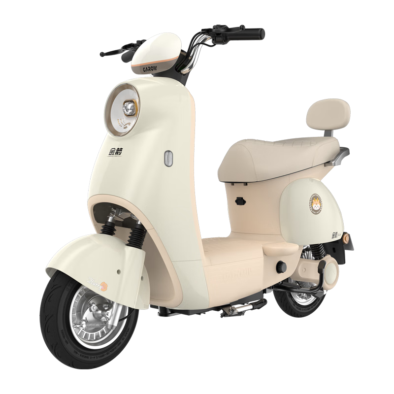 金箭 电动摩托车灵彩60V20AH铅酸电池长续航800W大动力灵动踏板电摩电动车 独