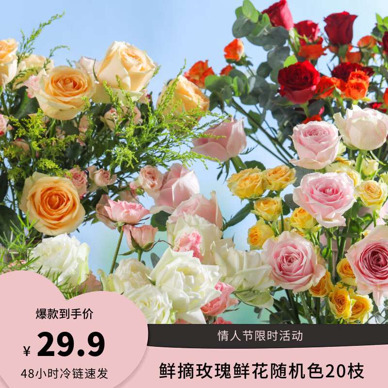 京东鲜花 随机色玫瑰20枝 29.9元