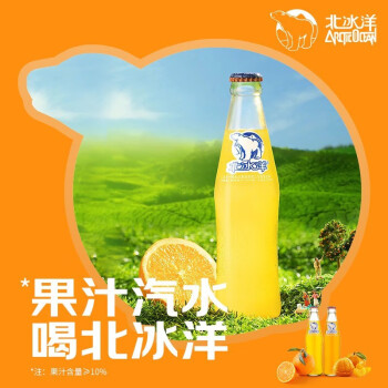 北冰洋 老北京玻璃瓶 橙汁汽水248ml*12瓶 ￥24.9