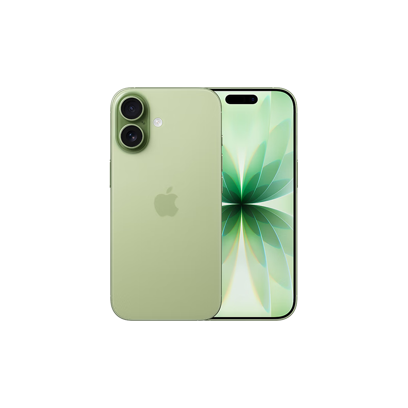 Apple 苹果 iPhone 17 手机 双卡双待 鼠尾草绿 256G 5199元