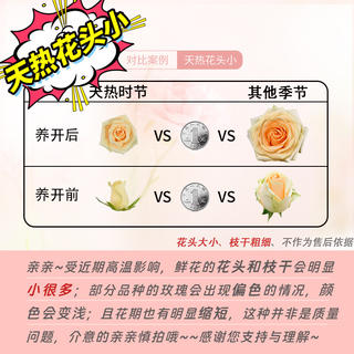 京东鲜花 玫瑰花颜色20枝山东基地新鲜采摘家40cm长源头直发 16.59元 - 86线报 京东鲜花 玫瑰花颜色20枝山东基地新鲜采摘家40cm长源头直发 16.59元 - 86线报