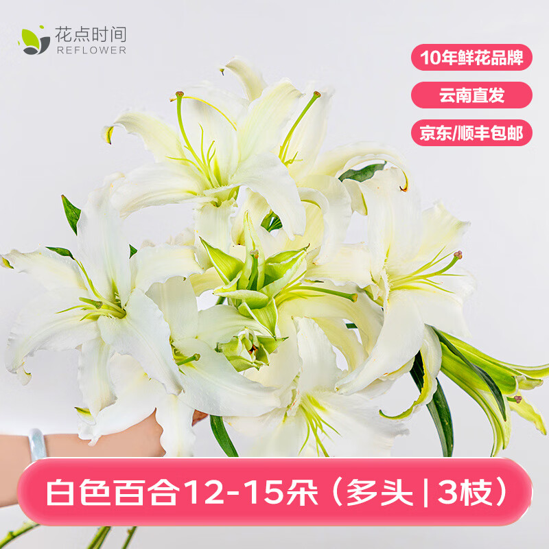 花点时间 水仙香水百合鲜花重瓣云南昆明基地直发 白色3枝（12-15个花头） 