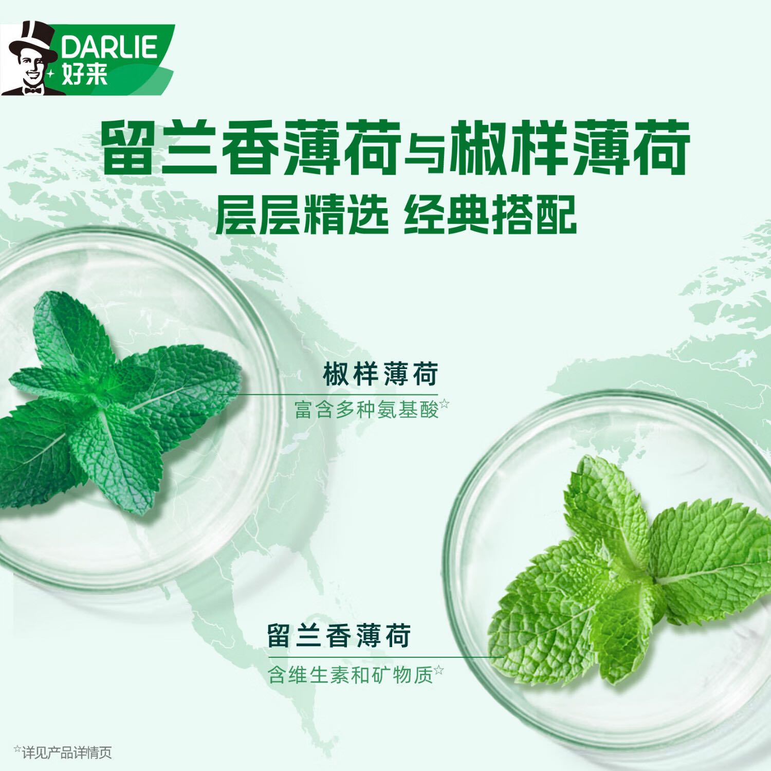 好来 原黑人)白鹿同款双效薄荷牙膏清新去口气去渍固齿4支800g 22.99元（需买