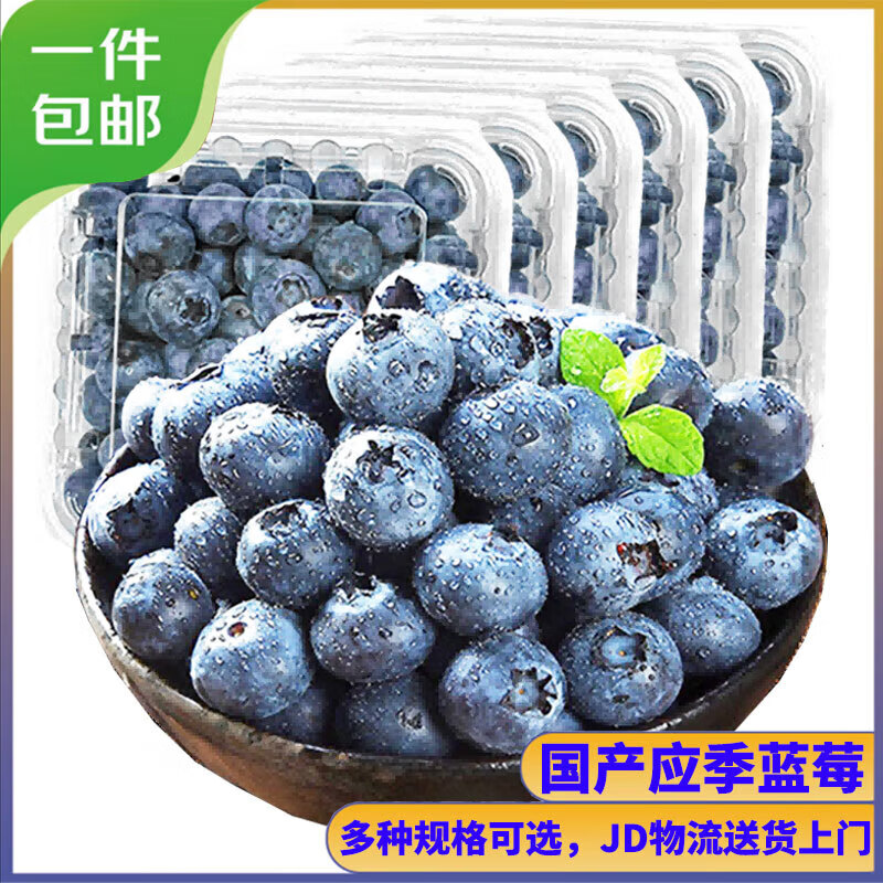 需首购，pLus会员，京丰味蓝莓 新鲜时令国产蓝莓水果 125g/盒 精选中大果 果