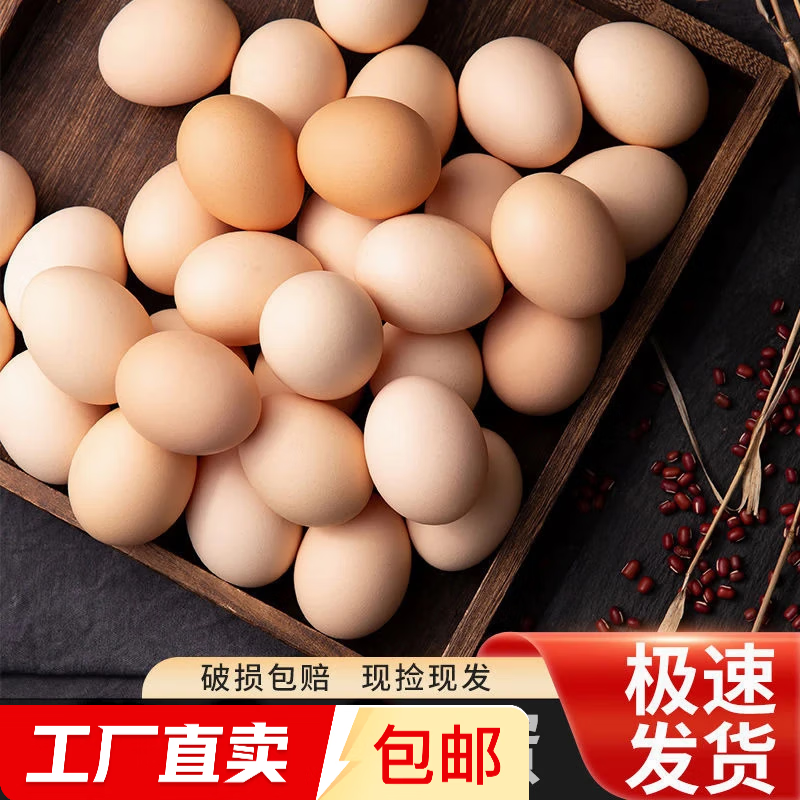 京喜 谷物鲜鸡蛋 农户散养新鲜鸡蛋 单枚40g±5 10枚（40克/枚） 2.45元