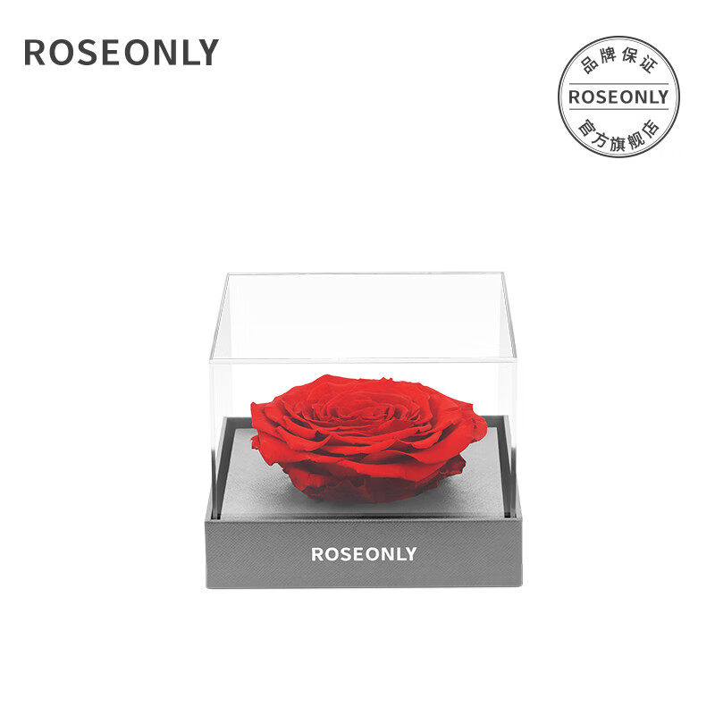 ROSEONLY 永生花玫瑰 钟情 结婚纪念日礼物 689元（需用券）