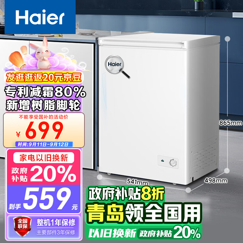 Haier 海尔 100升低霜小冰柜家用商用 冷藏柜冷冻柜两用冰柜小型租房用小冰