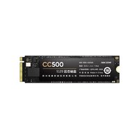 海康威视 CC500 NVMe M.2 固态硬盘 256GB（PCI-E3.0） ￥117