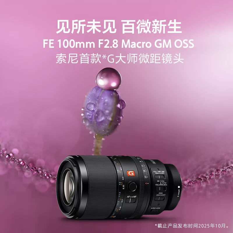 索尼 FE 100mm F2.8Macro G 微距镜头 8003.08元 - 清风线报