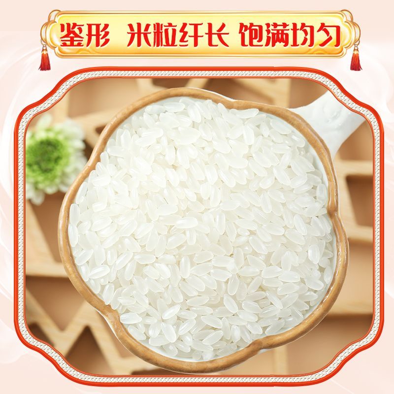百亿补贴：SHI YUE DAO TIAN 十月稻田 东北大米长粒香米真空装 5kg 24.22元（多人