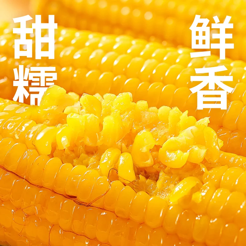 啃糯 东北当季新鲜糯玉米非转基因玉米真空锁鲜粘甜糯香低脂玉米棒 16.9元 - 清风线报