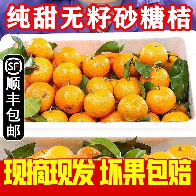 顺丰 广西 正宗砂糖橘 沙糖桔 5斤装（单果30-60g）泡沫箱 20.95元（需买2件，