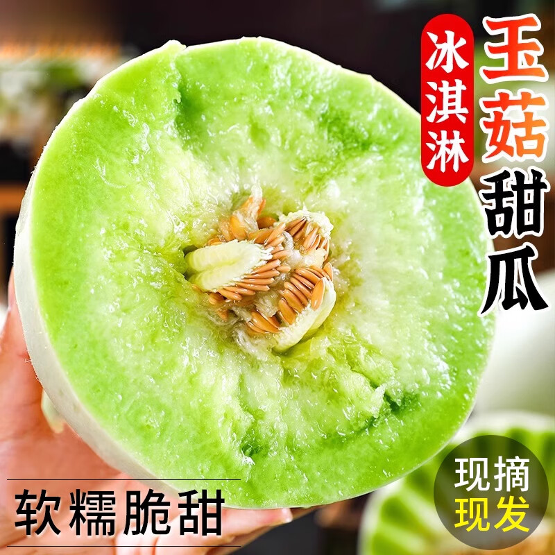 粤迎 玉菇甜瓜 5斤精选果【阿姨手挑】净4.5斤 9.9元（微信省钱卡价格更低）