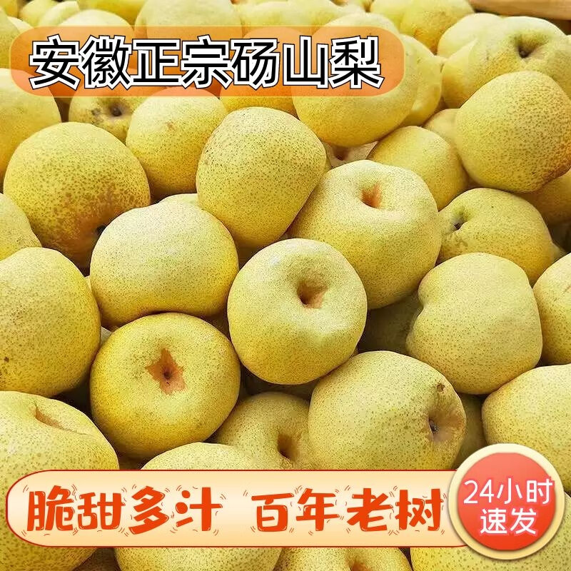 鲜其 正宗 砀山梨10斤装 特大果350G+ 34.8元（需用券）