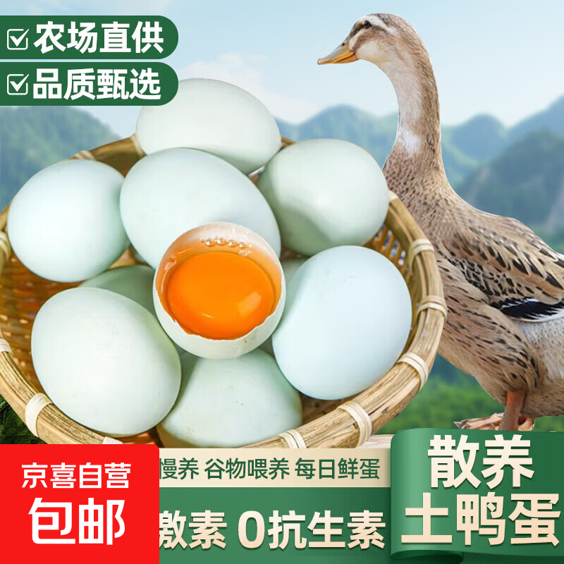 京喜加 戚溪臻选真无抗鲜鸭蛋生鸭蛋新鲜现捡林间散养 50-60克10枚新鲜生鸭