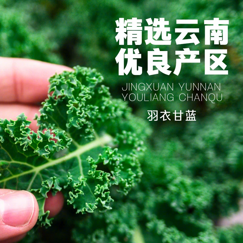 自然道 2纯羽衣甘蓝粉青汁即食冲饮果蔬粉膳食纤维代餐3g*20条*1盒 9.9元 - 线报酷