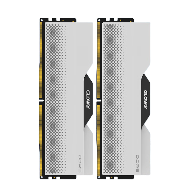 GLOWAY 光威 龙武系列 DDR5 6400MHz 台式机内存 马甲条 白色 32GB 16GBx2 海力士M-die