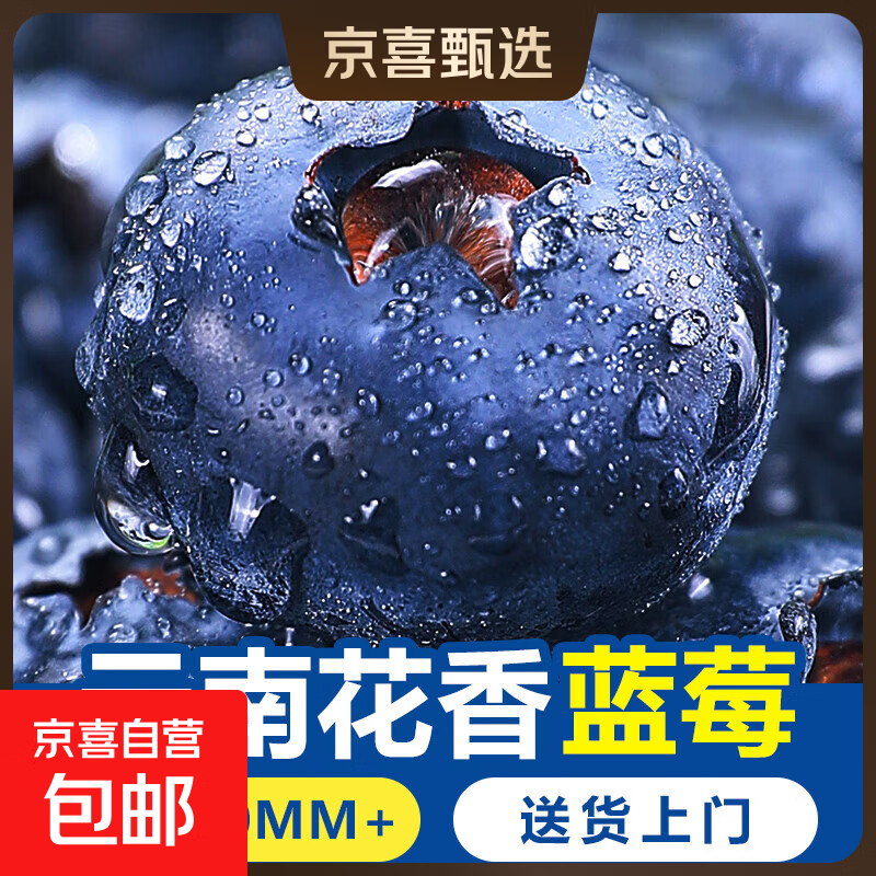 鑫佳 2盒 花香蓝莓 精品果 10.89元