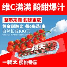 88VIP：一颗大 串番茄樱桃小西红柿198g*4盒新鲜采摘酸甜多汁 41.07元