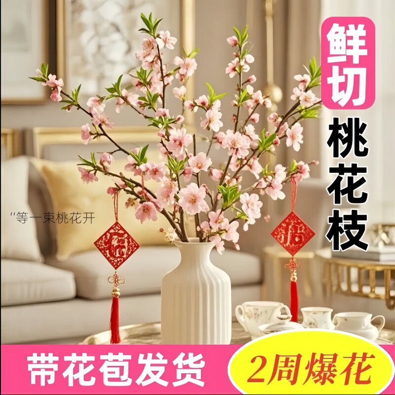 懒大姐 桃花枝水培植物 12支 40-50cm 带花苞 7.8元