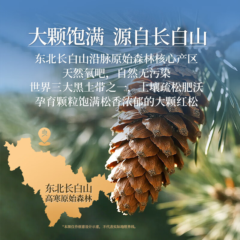 良品铺子 长白山红松500g 东北手剥松子仁每日坚果干果量贩零食 49.9元 - 线报酷