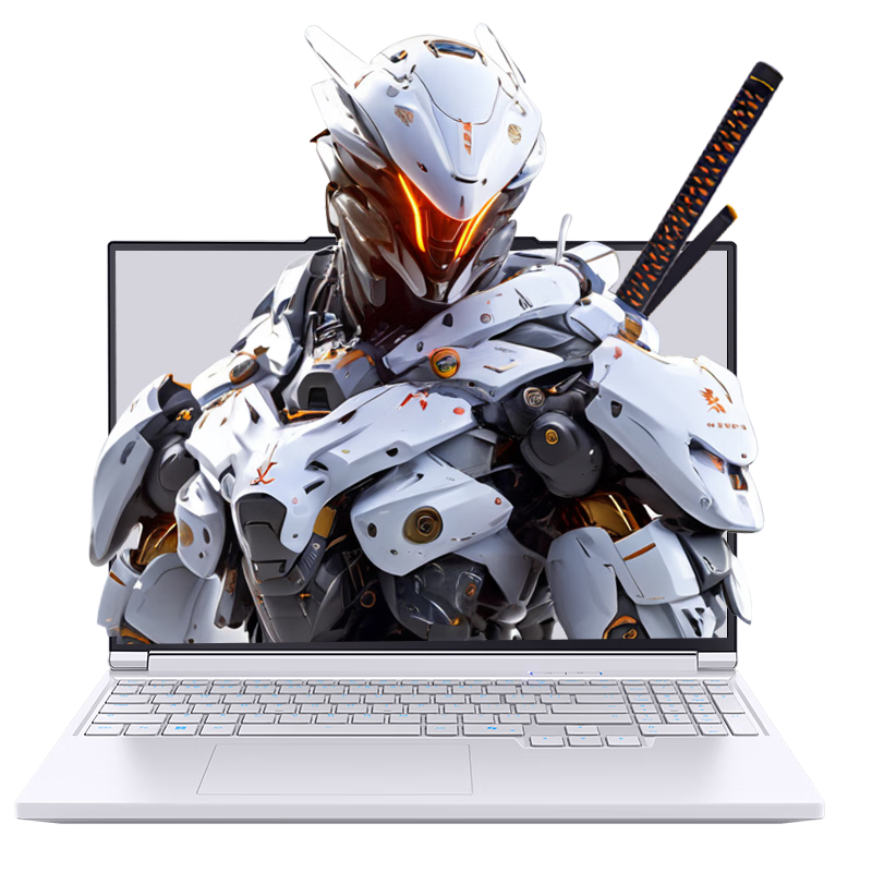 机械革命 极光X 游戏本电脑(i7-13700HX 16G 1T RTX5060 2.5K屏 180Hz 白) 5569.61元