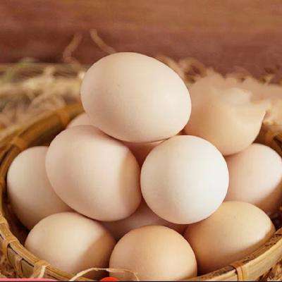 荆品名门鸡蛋 正宗散养生鸡蛋 12枚 500g 5.8元包邮（双重优惠）