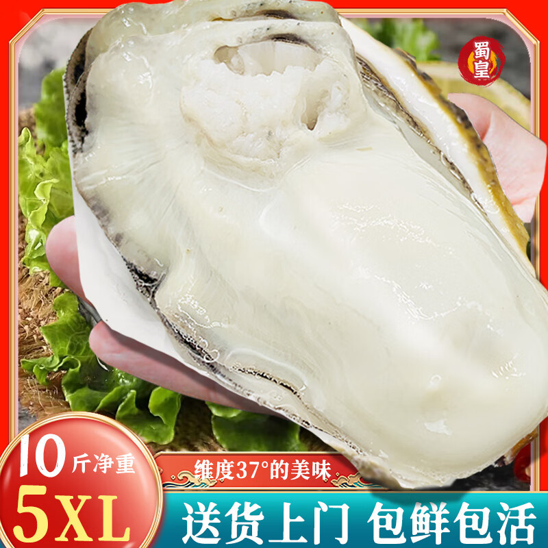 plus会员:蜀皇乳山生蚝鲜活特大牡蛎海蛎子10斤净重5XL(16-20)只源头直发包 邮 